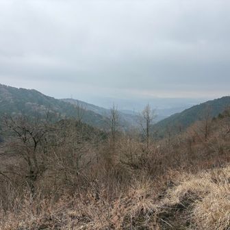 眺望はこんな感じです