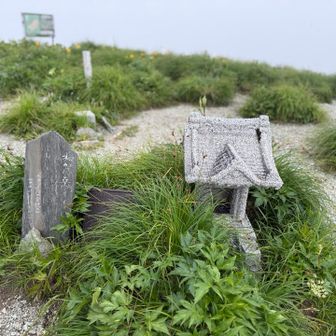 日本二百名山⛰️和賀岳
和賀岳の文字の入った石碑と祠。一等三角点🚩【和賀嶽】