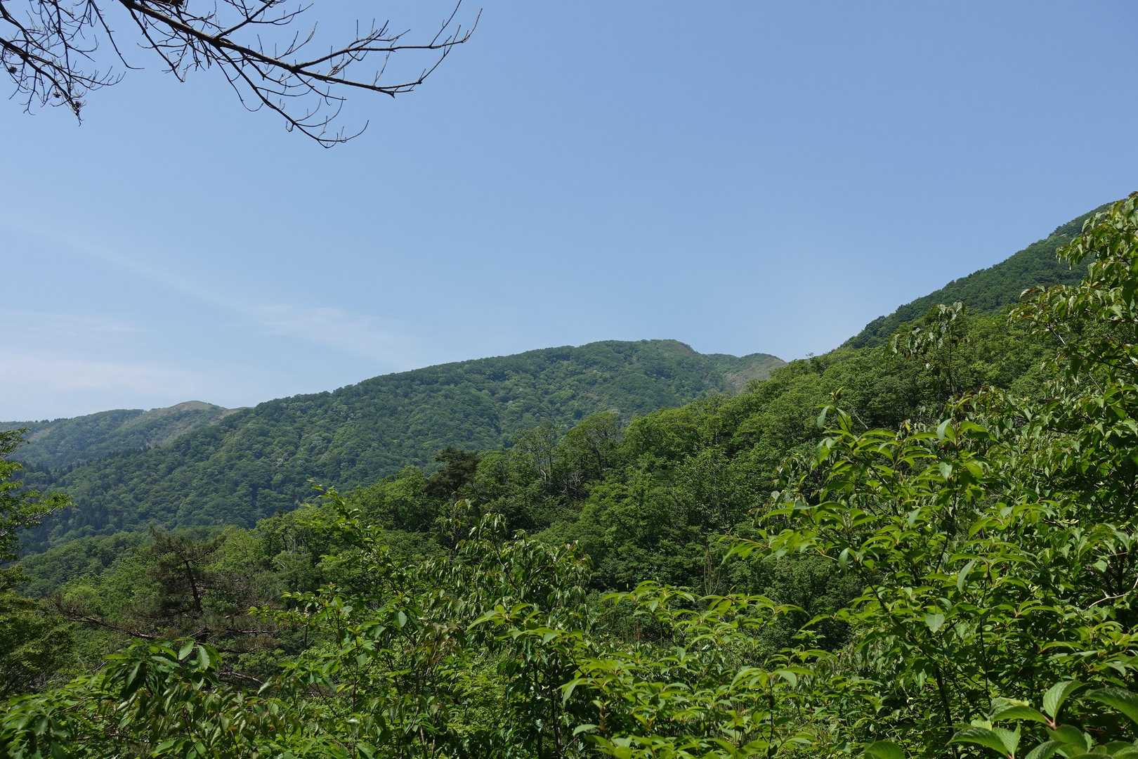 乗鞍岳-黒河峠-赤坂山-粟柄越-武奈の木平 縦走コースの写真