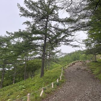 翌朝は薄曇り。夜に雨が少し降った程度で意外と路面に影響は無さそう（この辺りは）