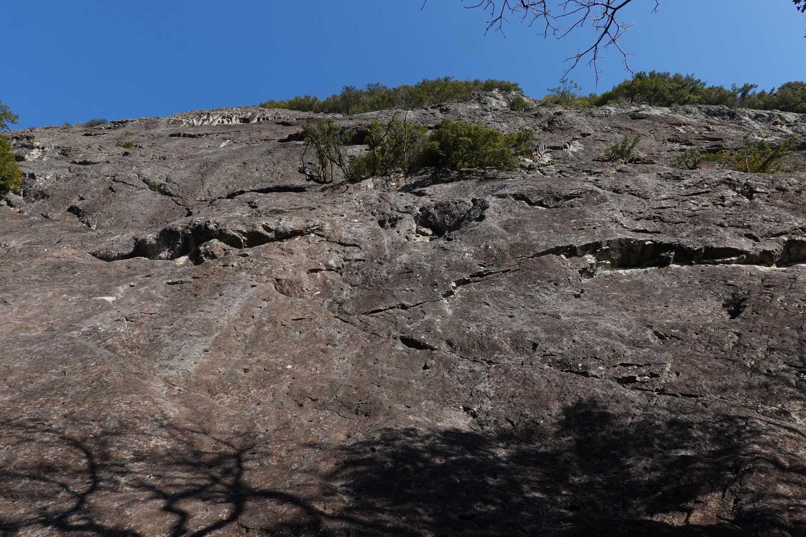 ロッククライミングのゲレンデへ寄り道
岩壁の直下で仰ぎ見る