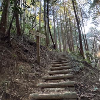 次回　平石峠から再スタート
階段登り💦
※葛城山までの石標数:3
岩橋山.持尾辻.葛城山…