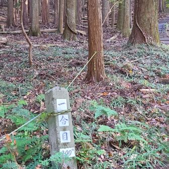 早速、一合目🗻