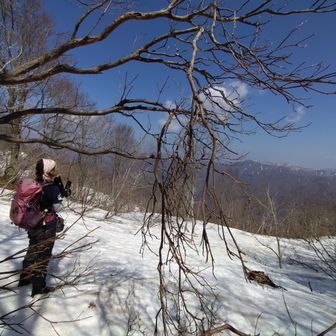 相方さんもテンション爆上りですね⤴️
さぁそろそろ下山しますよ

下山後、もう一山登るからね