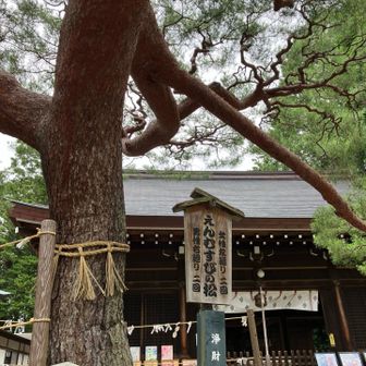 とりあえず左廻り二回して…🙏