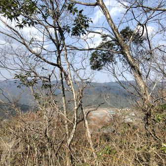 眺望はこんな感じのところが多いです。