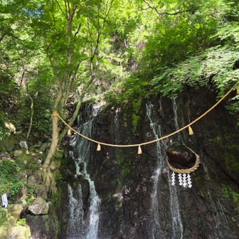 ほかほか➀玉簾の瀧
天成園には日帰り温泉利用で昔よく来た。かき氷がおいしかった🍧