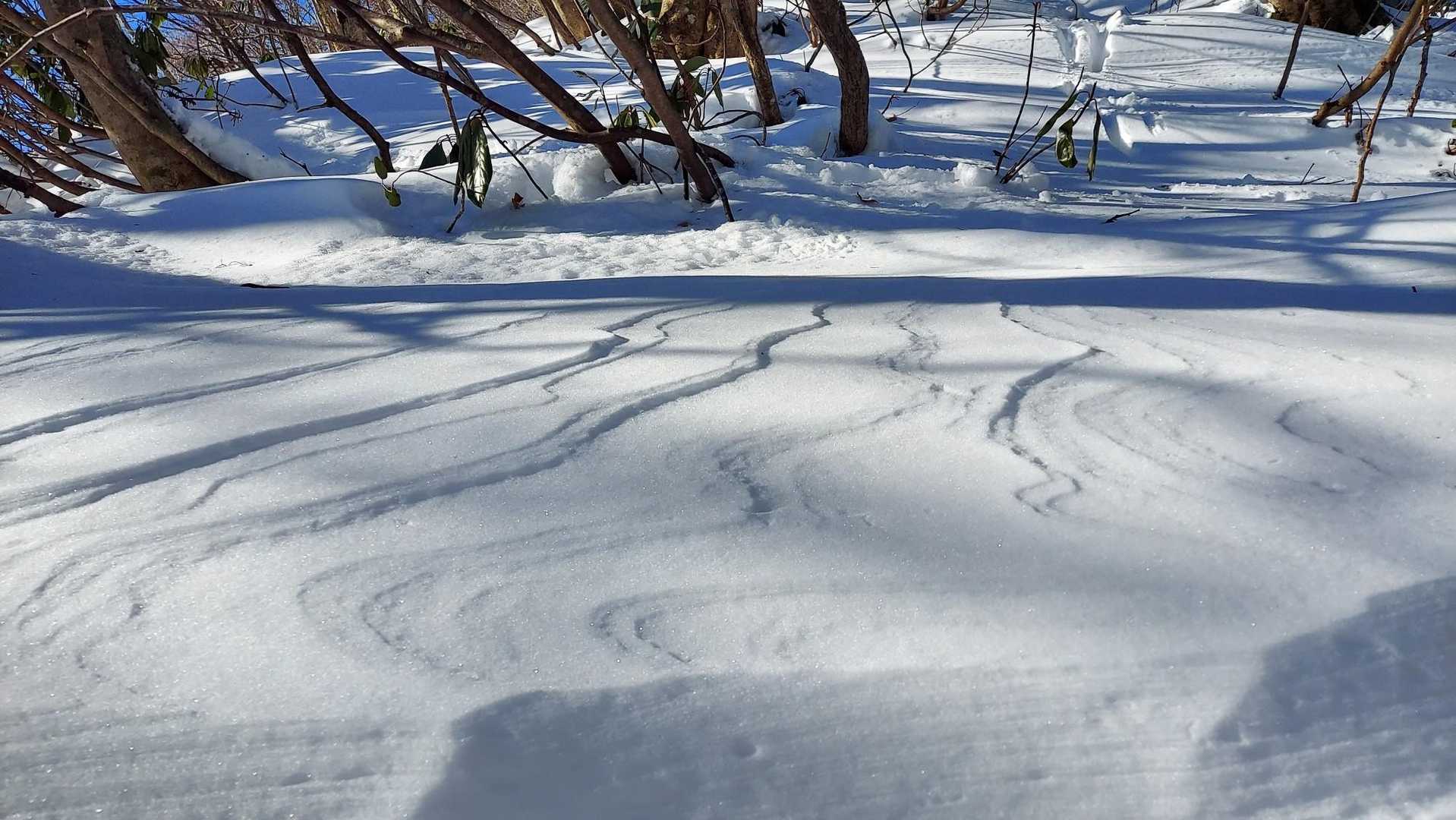 いいね～