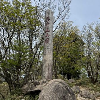 ここが一応の山頂😊