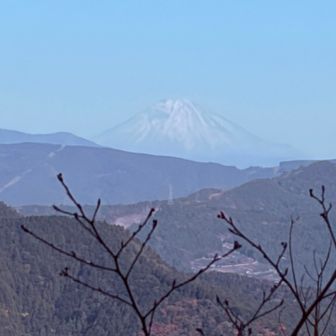 今日は１日見えてました