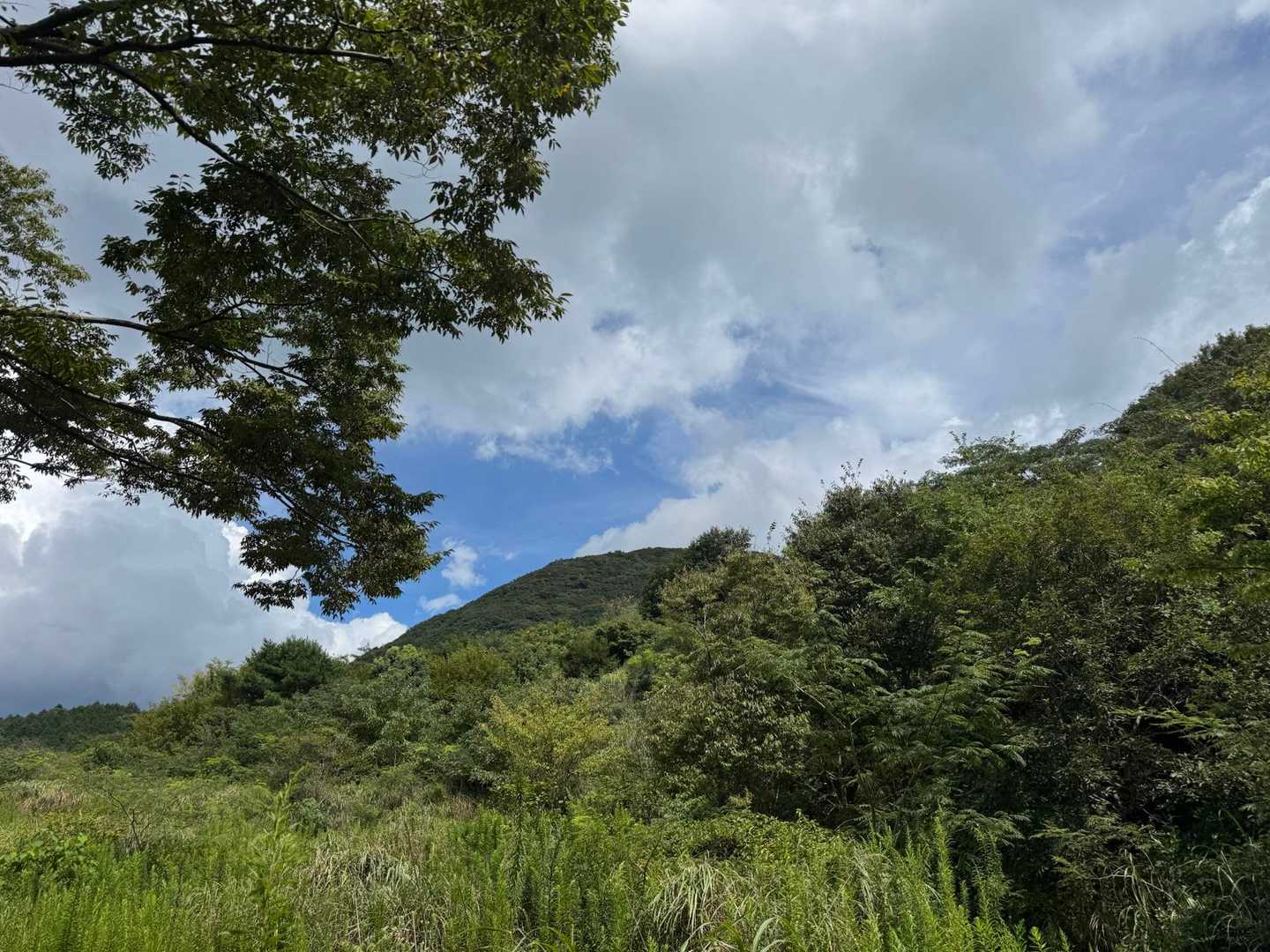 あれ？九千部山かな？