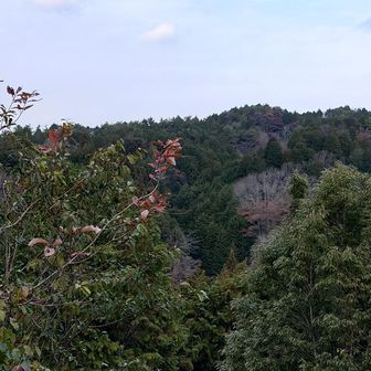 この写真も休憩所そばから📷️撮りました。