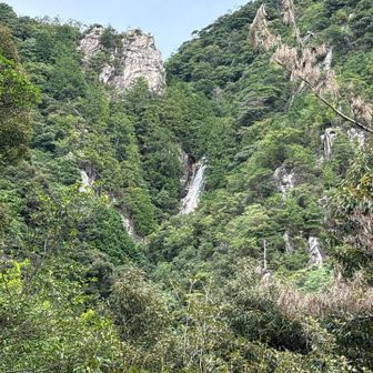 そしてまた涼峠まで約200m登り返す
これがキツかった💦
でもリトル比良を歩きたいので頑張る💪
滝の上部が見えた