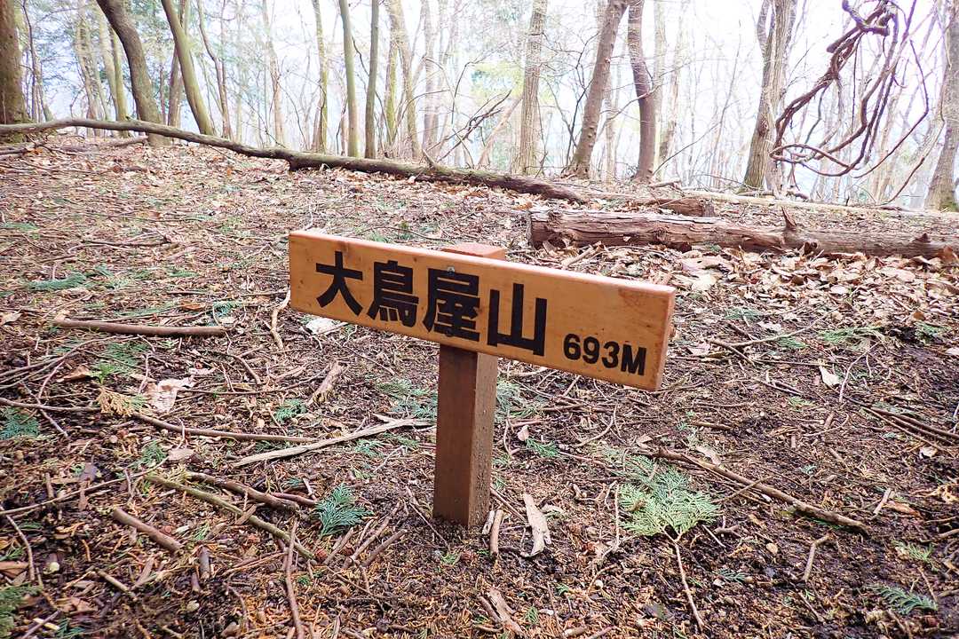 本日1座目
大鳥屋山に到着で～す(⁎˃ᴗ˂⁎)