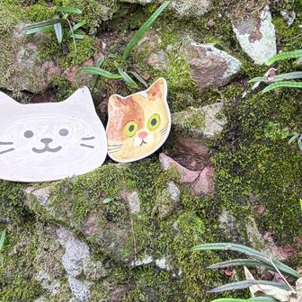 お面かた思ったらお皿でした。