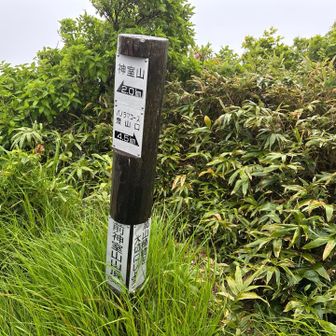 前神室山到着。ここからは尾根道。写真だとわからないけど、暴風雨のため、ここから引き返すことになりました。