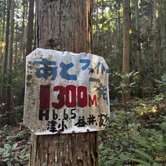 もしかして100メーター刻みかな👍
津和野小生徒の作品