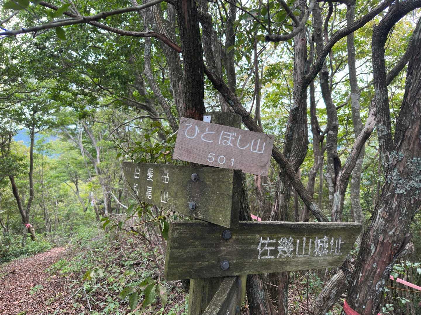 ひとぼし山
