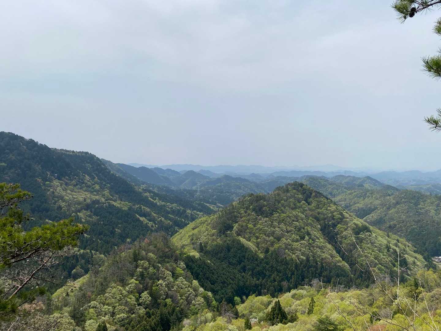 山頂に行く途中の景色✨山頂では、残念ながら景色は見る事ができません。