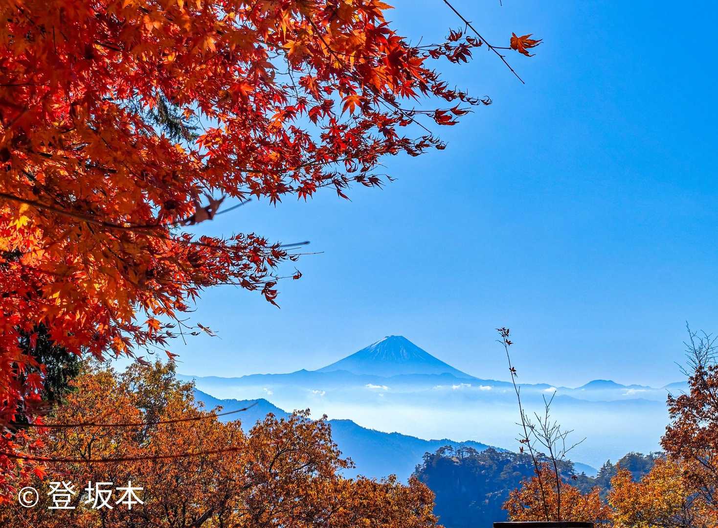 弥三郎岳 周回コースの写真