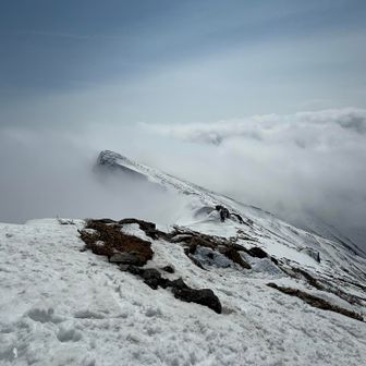 これはこれで良い
