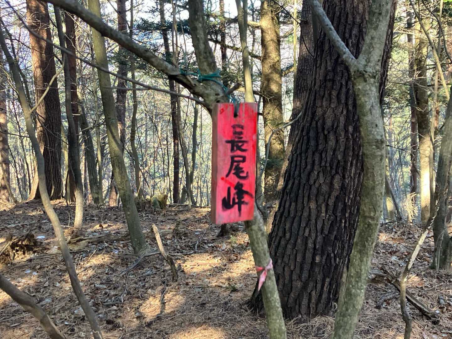 ここには長尾隊
赤いたて看板は決意の表れだ。
昼にまだ時間があるが、この隊は
赤い看板の通りに[赤いきつね]を昼食に食べていた。　
お揚げを咥えながら敬礼🫡
「お揚げに含まれた汁が美味いよな」
と告げ、ここを後にする。