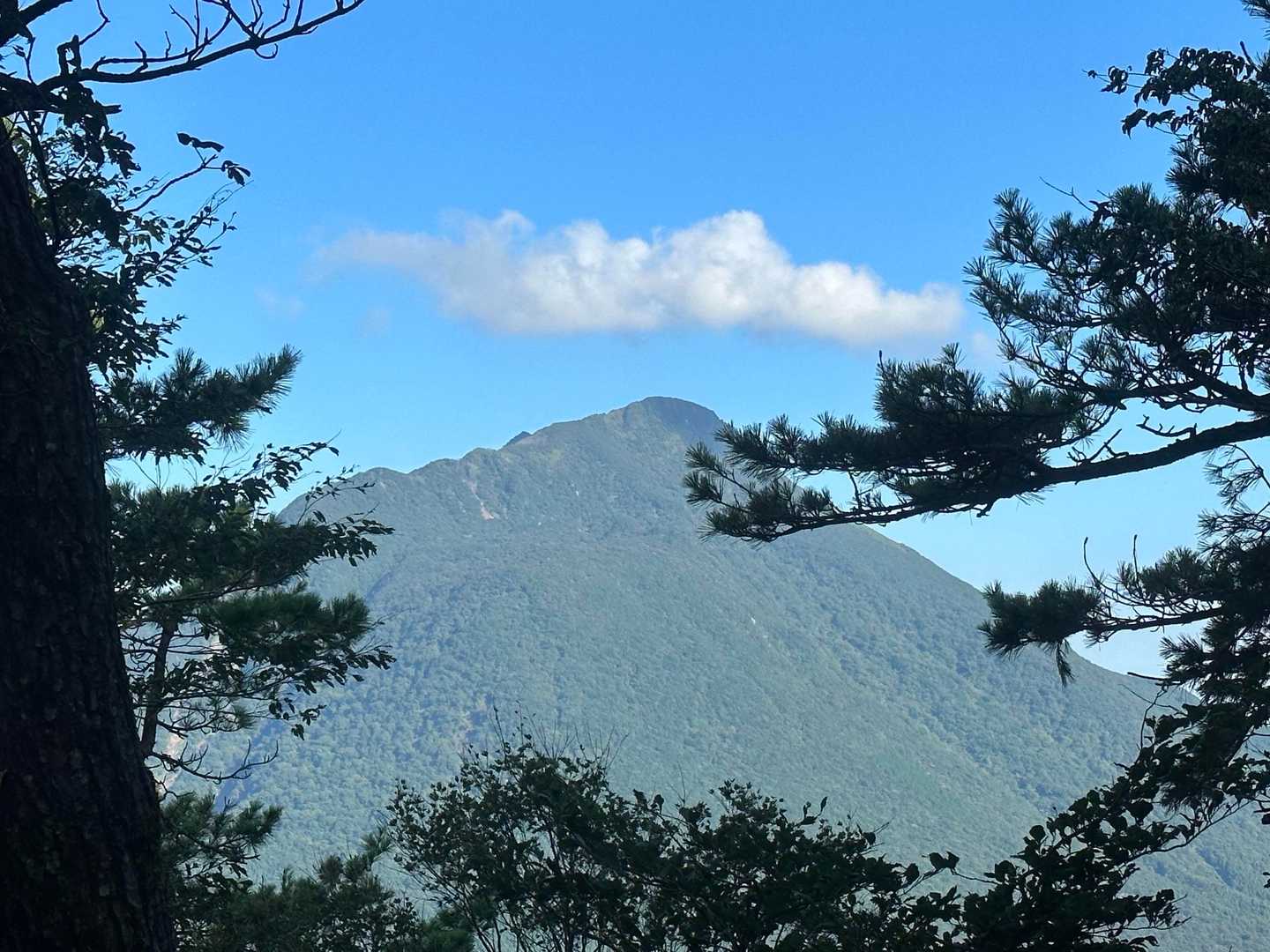 隙間から由布岳西峰と左手は北尾根。
手前に飯盛山塊⛰️よく見ると突起が見えるけど、この時期のこちら側からの飯盛山は同化していて分かりづらいな👀
難易度的には英検2級レベルだよね🤡