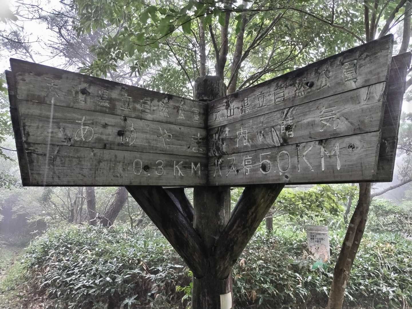 この分岐から天川登山口へ戻りましたが、藪漕ぎとは言いませんが、藪かき分けでした。