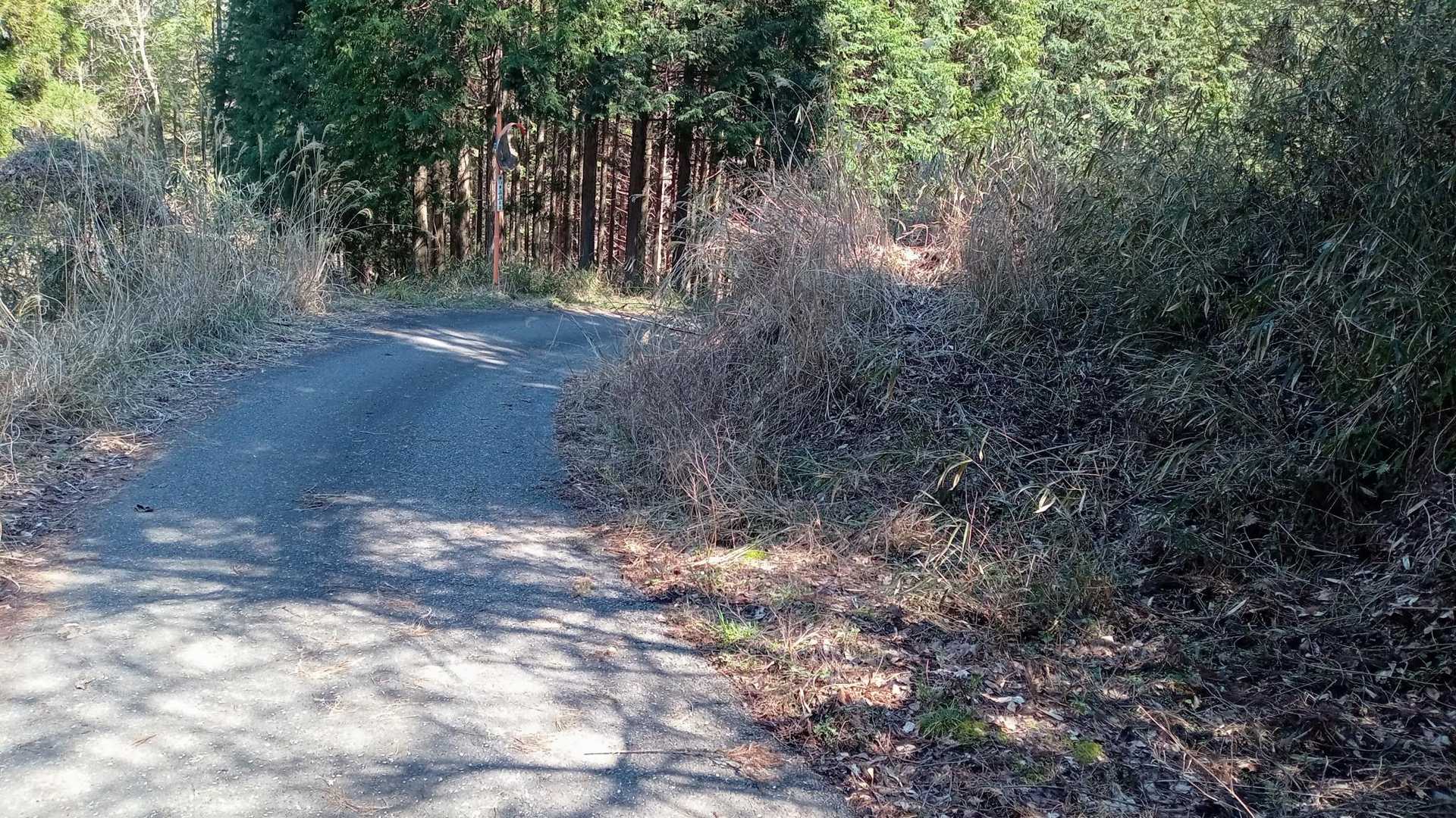 ログを見てもらえばわかるが、正解はこの舗装路をシンプルに歩けばいいものの、何故か右に上がらなければという心境にかられて地図読みミスをおかす。

あとから地図を見返して、やはり舗装路の記載がなく、別の舗装路の記載がされてるため、そっちへ歩くとかなり大回りしてしまうと思ったのです…

皆さん、ぜひ地図を見てほしい…