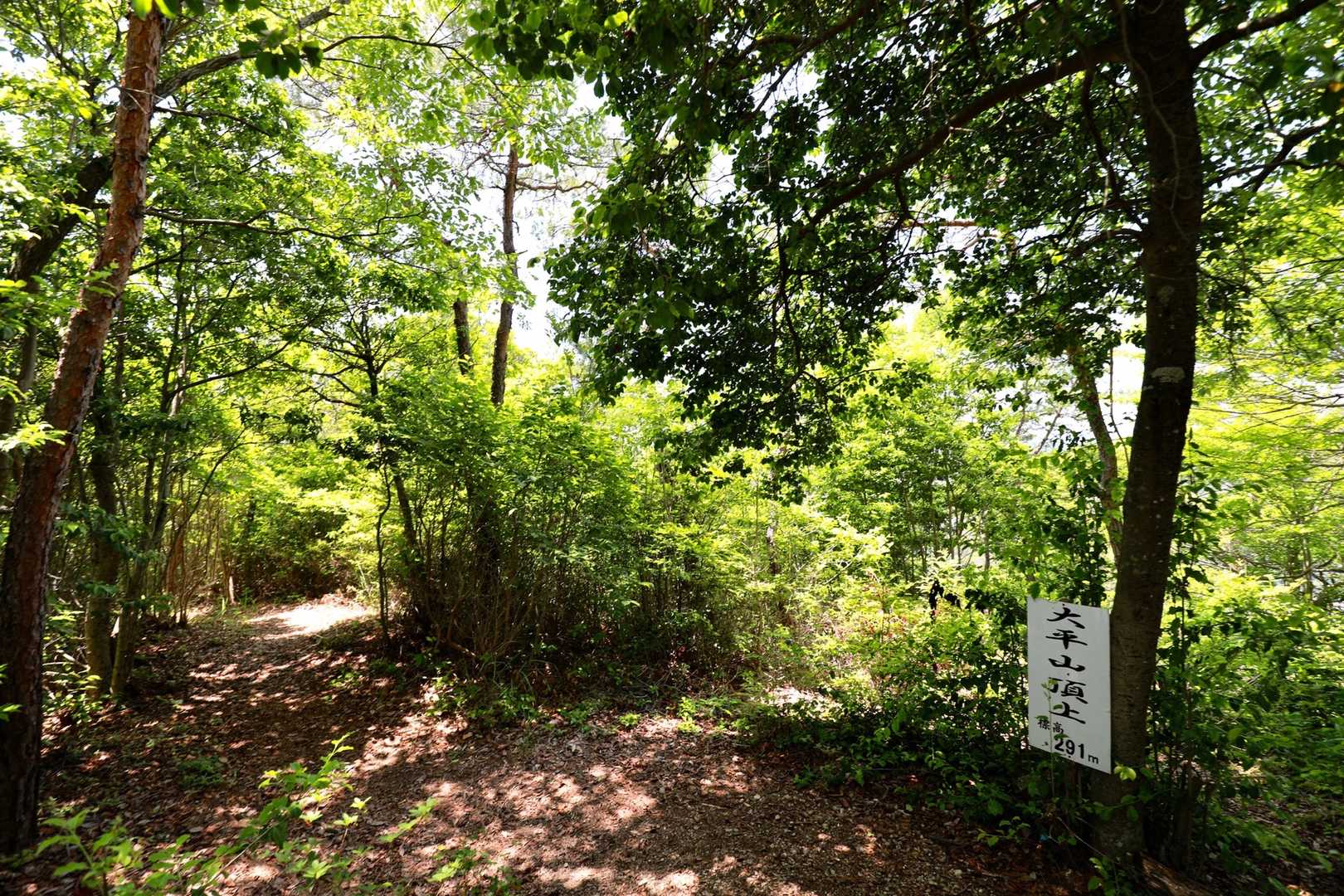 ほいっ‼️一瞬で大平山山頂に到着です👍
残念ながら景色は拝めないパターンです🤣