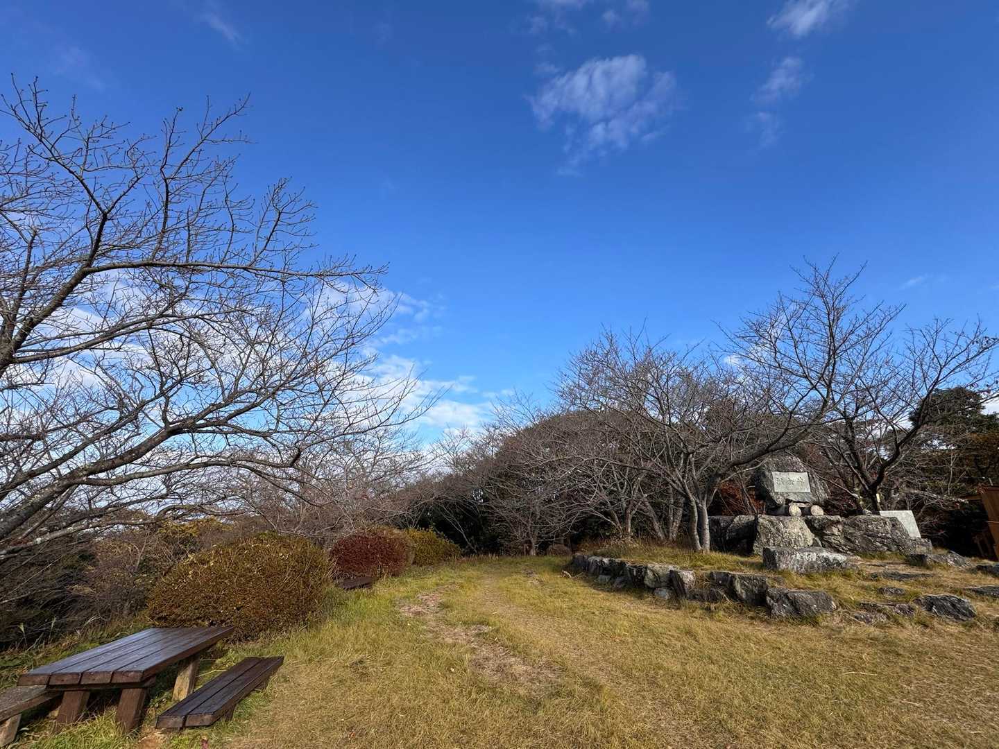 頂上はほぼ桜でした🌸