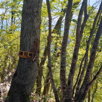 連行峰山頂(1016m)到着。
展望無し。
※多摩百山
※多摩100山