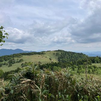 44、箱岩山へ④
振り返るとさっきまでいた白草山が見える
