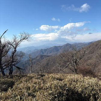 富士山🗻でーす！
ぜんぜんみえましぇーん😢

ちょっとでも見えてくるまで待とうかとも
考えたけど、爆風だったので耐えられず🥹
諦めまーす🤦‍♀️