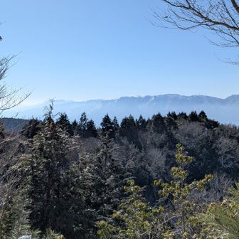 藤原岳の段々が見えました✨