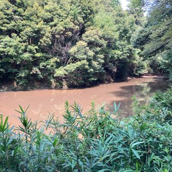 下山した場所にはミルクコーヒーの池が、、