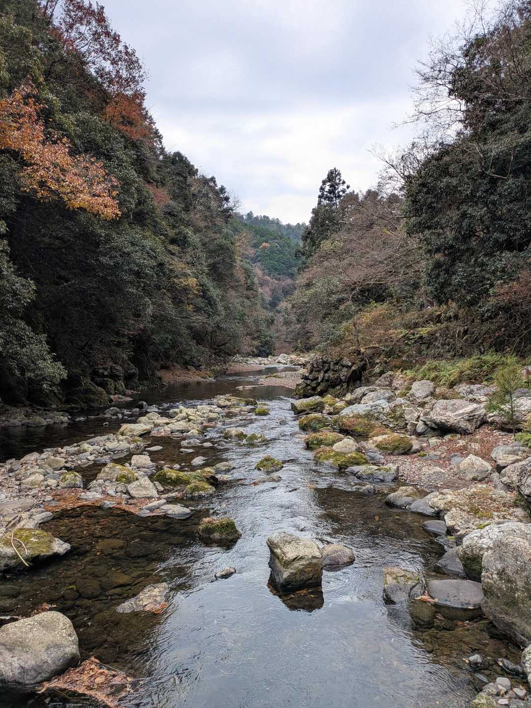 栂ノ尾バス停-白雲橋-福ヶ谷林道登山口-槙ノ尾バス停-愛宕 縦走コースの写真