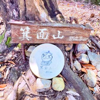 かわいいお皿