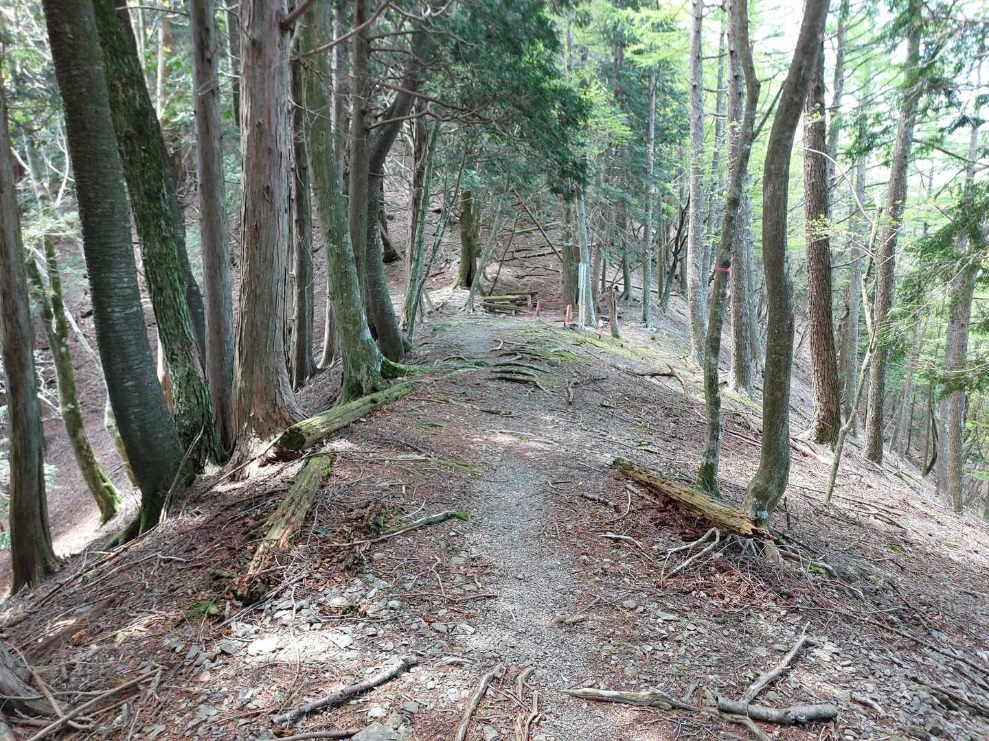 ぐんぐん下って荷小屋峠。