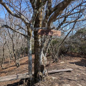 小っさい山頂看板