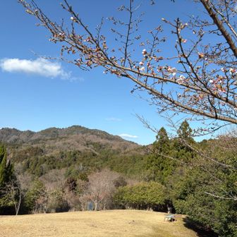 今日は二ヶ城へは行かないんよ💧