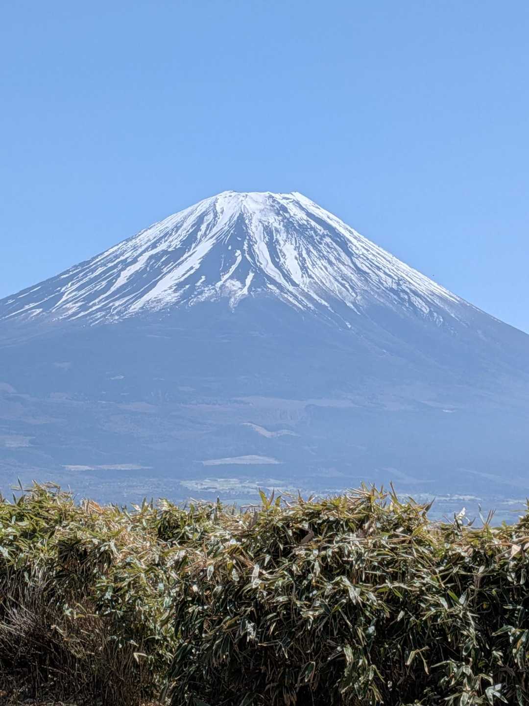 竜ヶ岳 / cocataの登山データ | YAMAP / ヤマップ