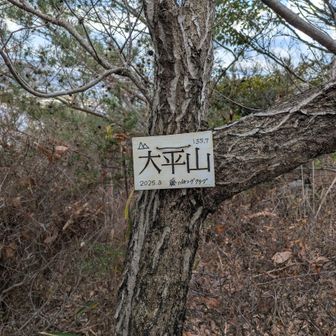 大平山頂に到着