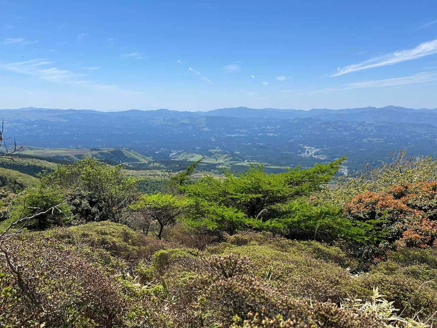 春の喜びに溢れた山の色合い🩷