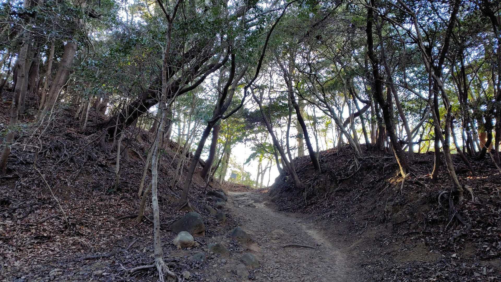 直登、巻道、薬王寺分岐