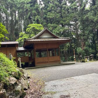 タロ少し待っててね🤏

アホを見る目で見送ってくれてます笑笑👋