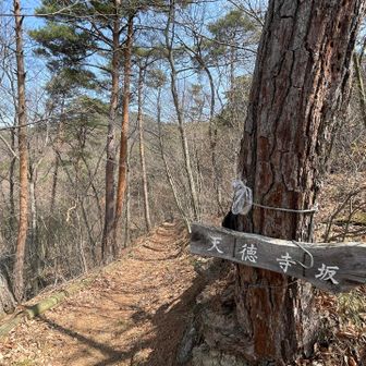 ここからは、Bigfootの子さんの軌跡をよく見ながら歩きます🚶‍♀️‍➡️この道もヨキ♬