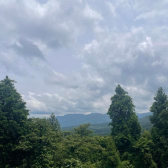 山頂から✨