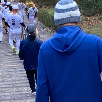 分高の野球部の若人が、この”365歩の階段”を往復(^o^)
「何往復ですか？」「今17往復目」「 (⚆.⚆)ｴｯ!」「僕は24往復目～」「Σ(ﾟ∀ﾟﾉ)ﾉｵｴｰ!!」
「・・・・凄い～」