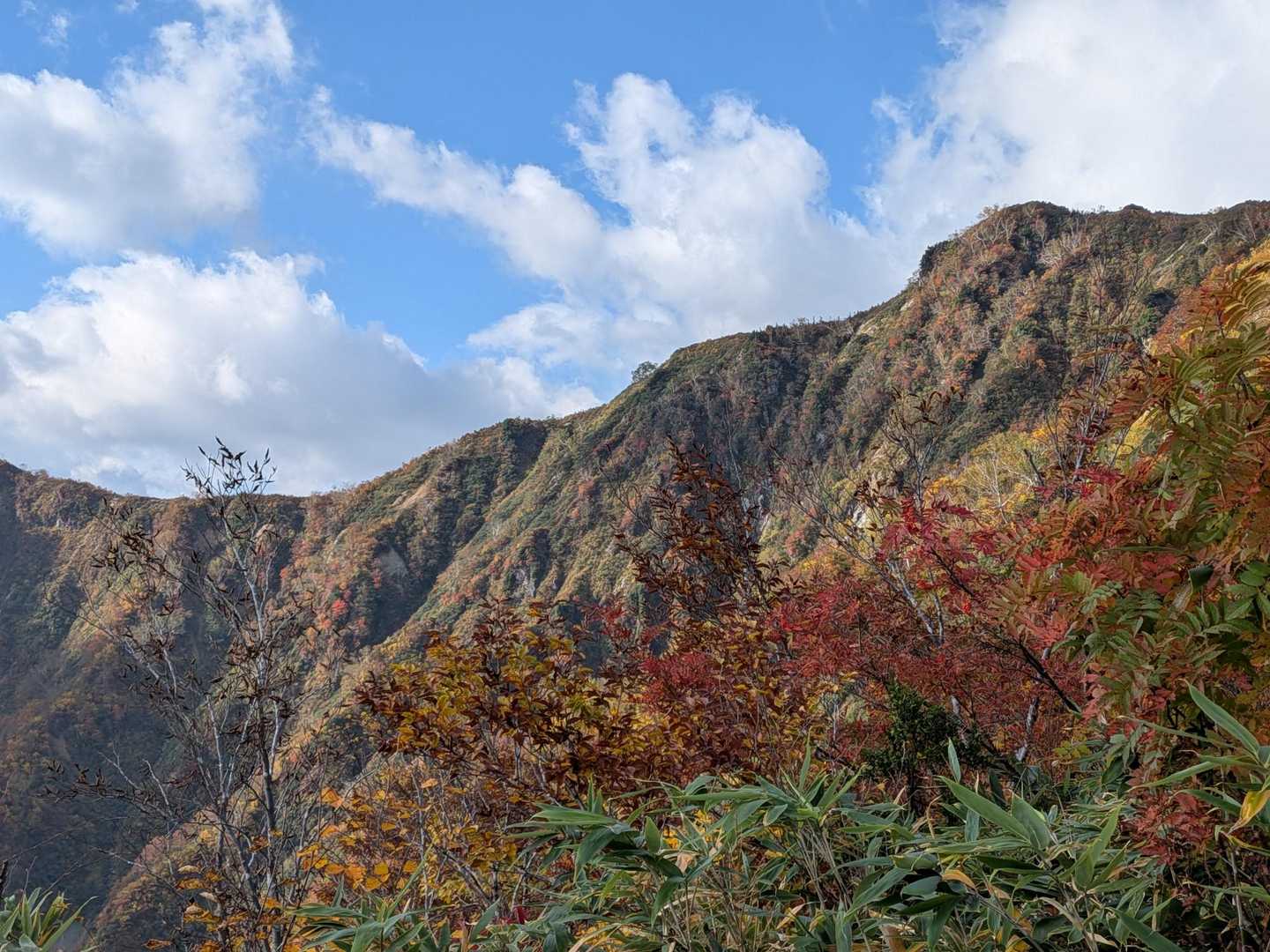 お山は、何が見えてるのやらわかんないのが悲しいんですが…